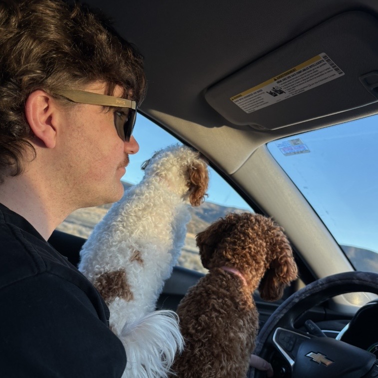 Picture of me and our two dogs in the car